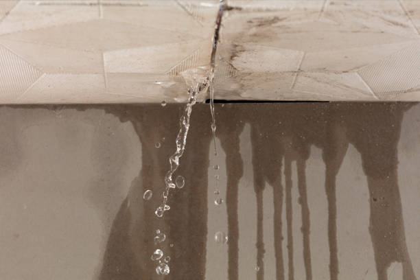 Professional Structural Drying technician working in Burtonsville, MD